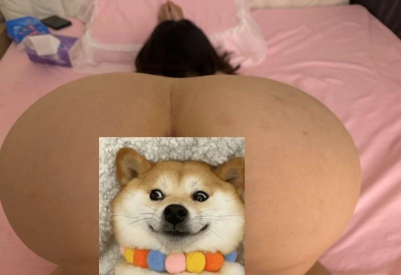 精彩照片