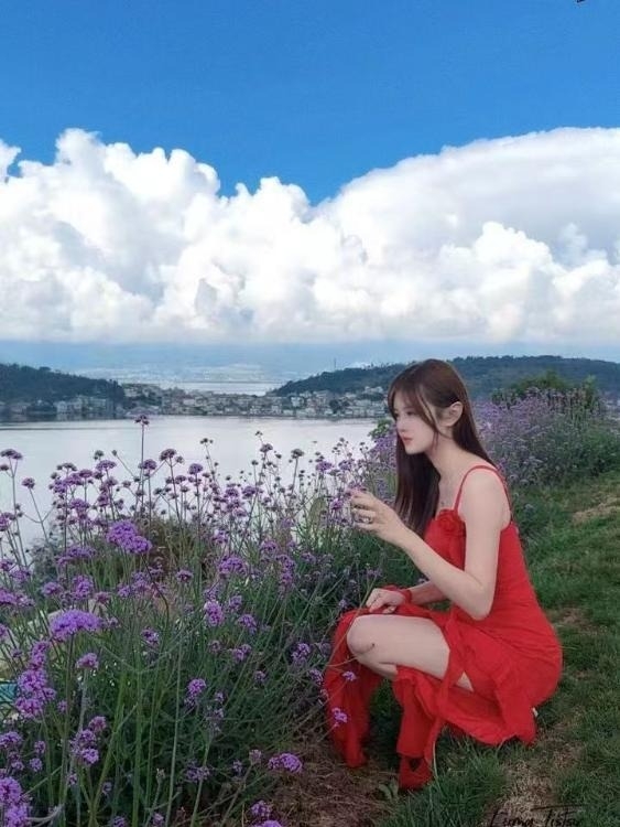 精彩照片