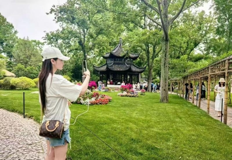 精彩照片